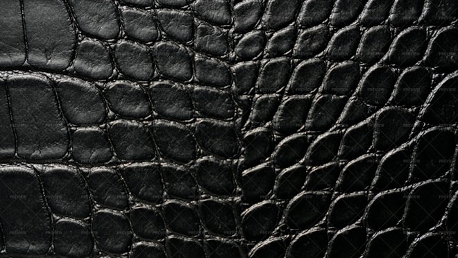 Crocodile Leather Texture Background Stock Photo, Picture and