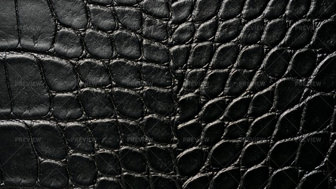 black crocodile skin texture as a wallpaper, Stock image