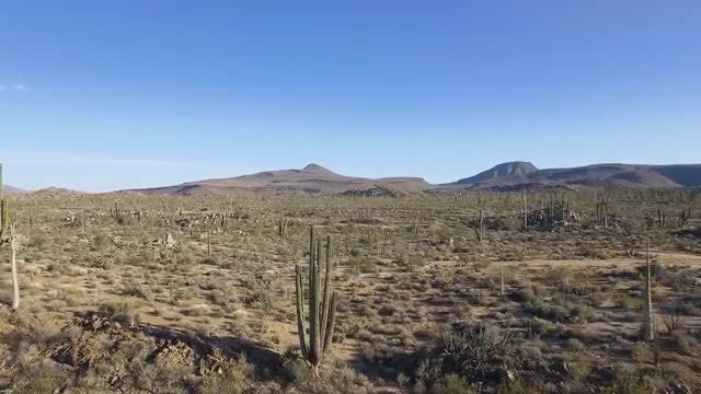 Moving Through The Desert: Stock Video