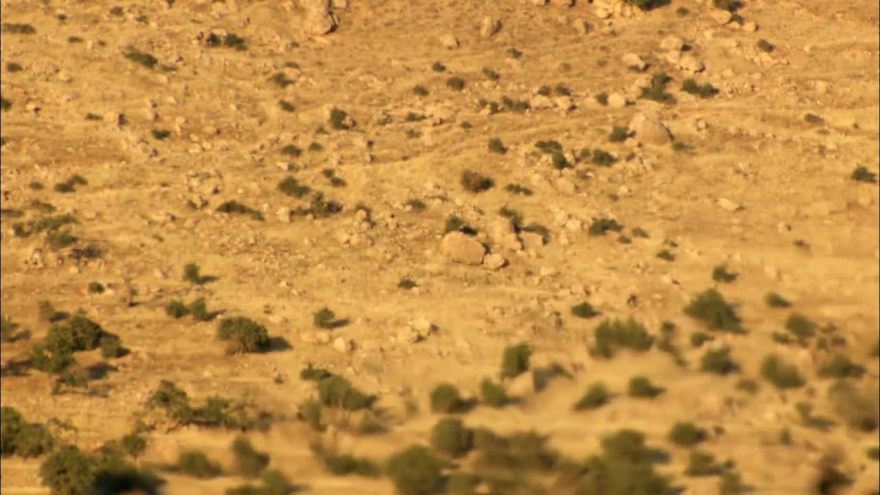 Heat Haze In The Desert - Stock Video | Motion Array