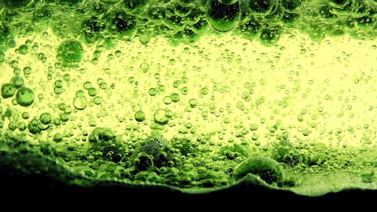 Water Bubbles Ink Behind Glass 1: Stock Video