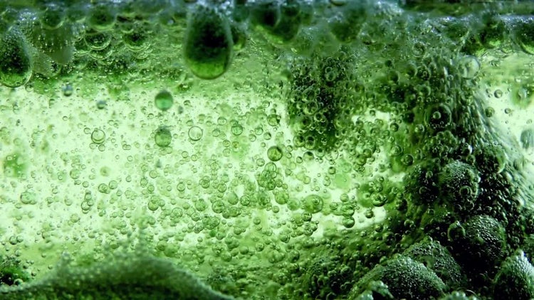 Water Bubbles Ink Behind Glass 4: Stock Video
