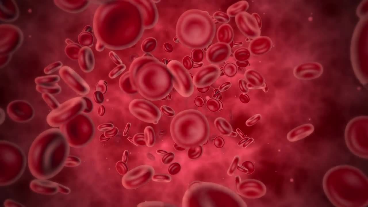 red-blood-cell-background-stock-motion-graphics-motion-array