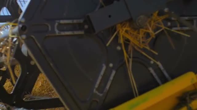 Closeup Harvesting: Stock Video