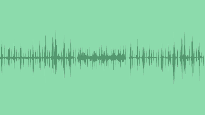 Singing Birds In The Park Ambience: Sound Effects