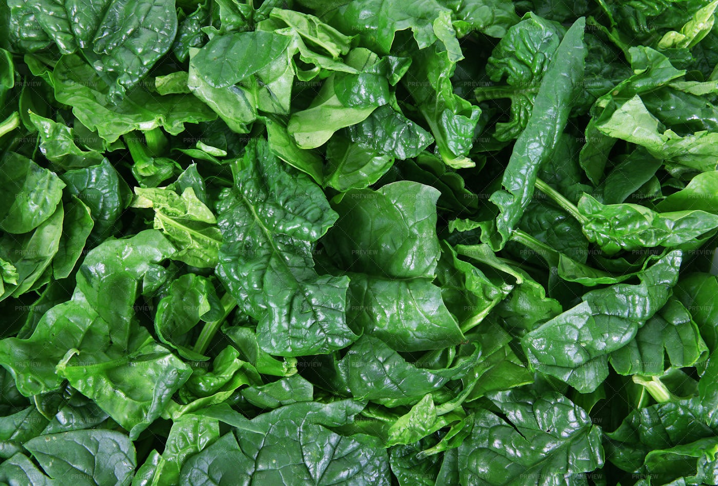 Fresh Spinach Background - Stock Photos | Motion Array