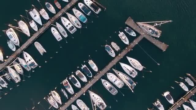 Marina Overhead Aerial: Stock Video