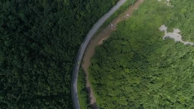 Yellow Car Driving By River and Forest: Stock Video
