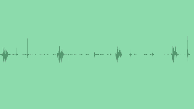 Tree Branch Breaking: Sound Effects