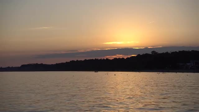 Golden Sunset On The Beach : Stock Video