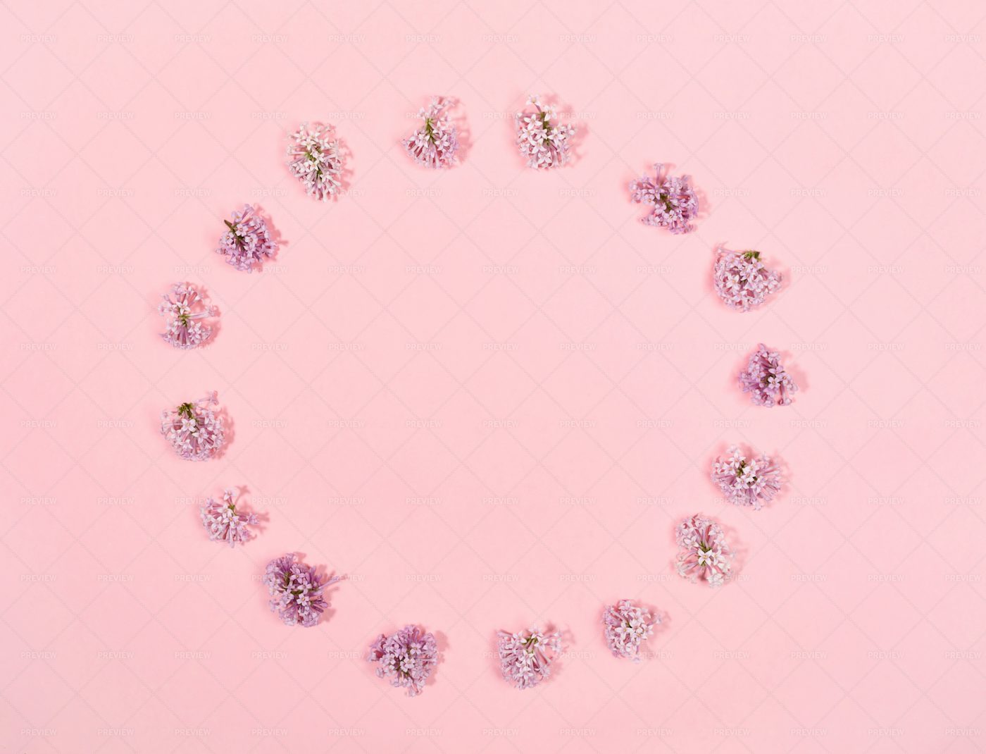 Pink Floral Minimal Background.: Stock Photos