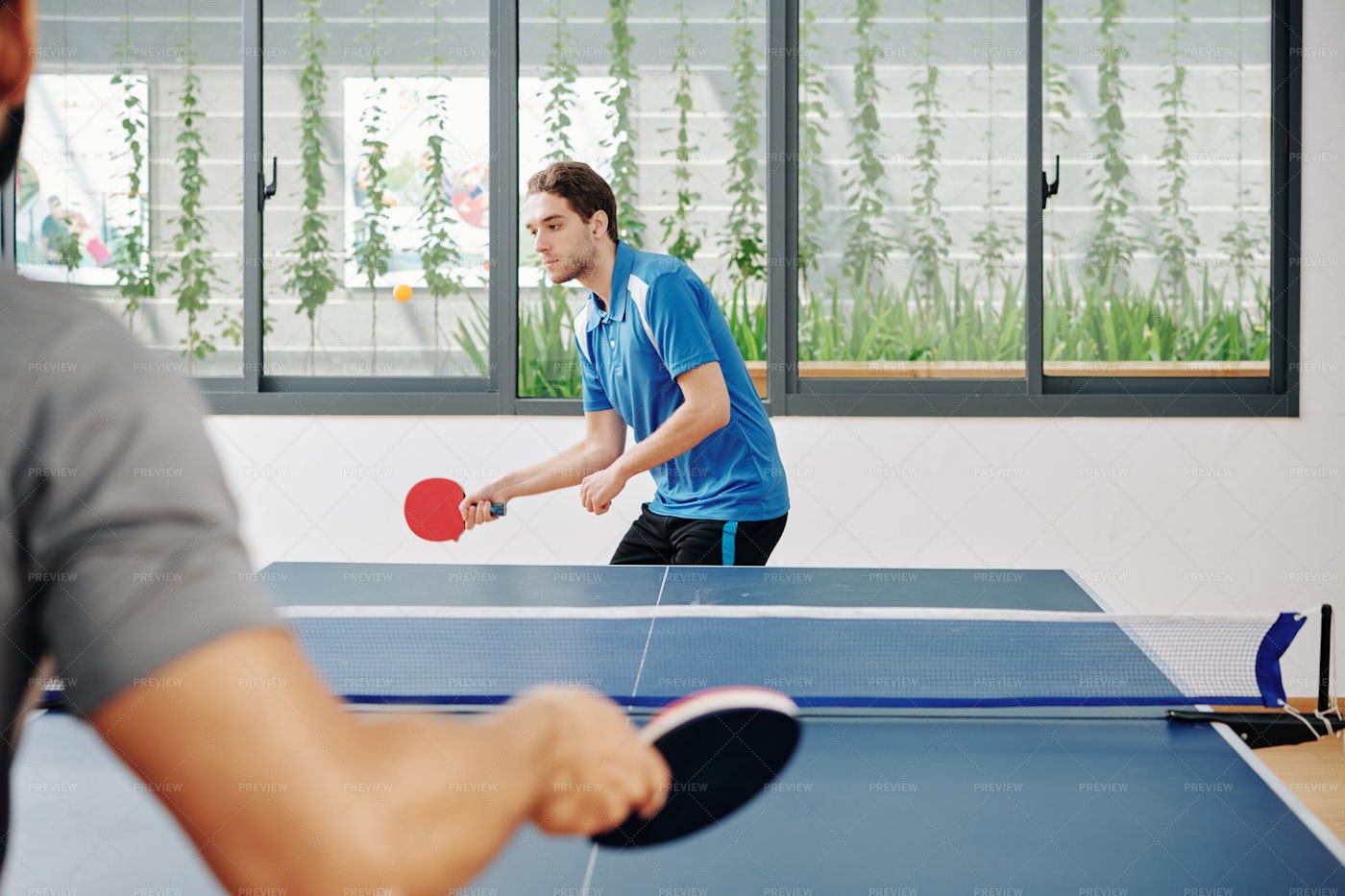 Men Playing Ping Pong: Stock Photos
