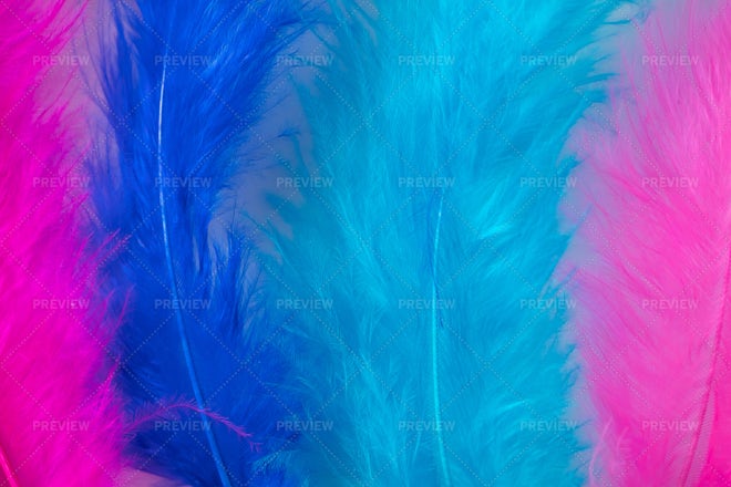 Jolly background of colored feathers Stock Photo by ©MamaPolina 68990387