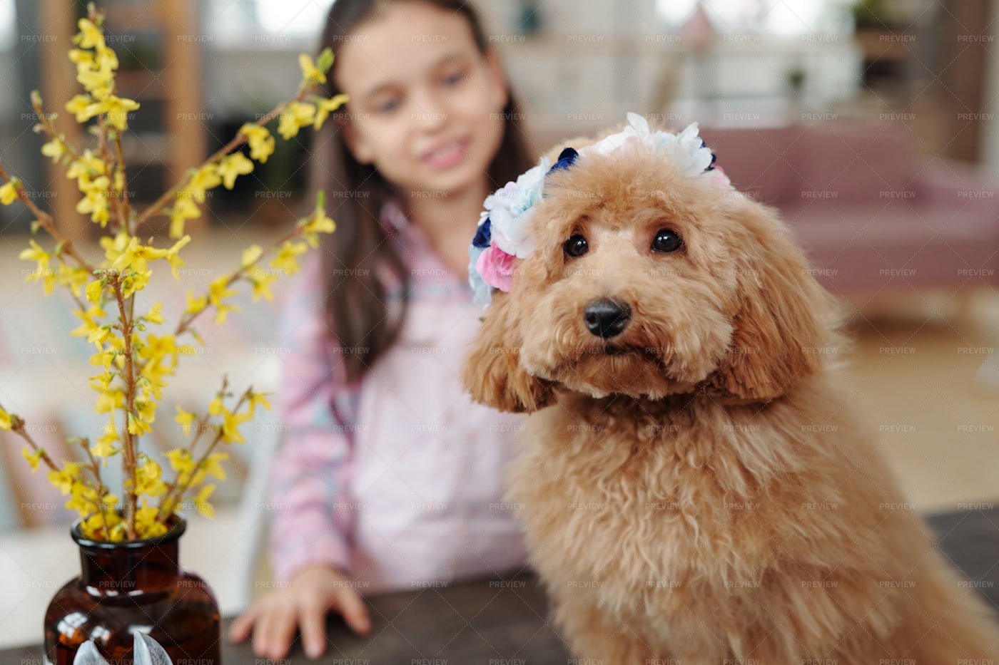 Cute Dog At Home: Stock Photos