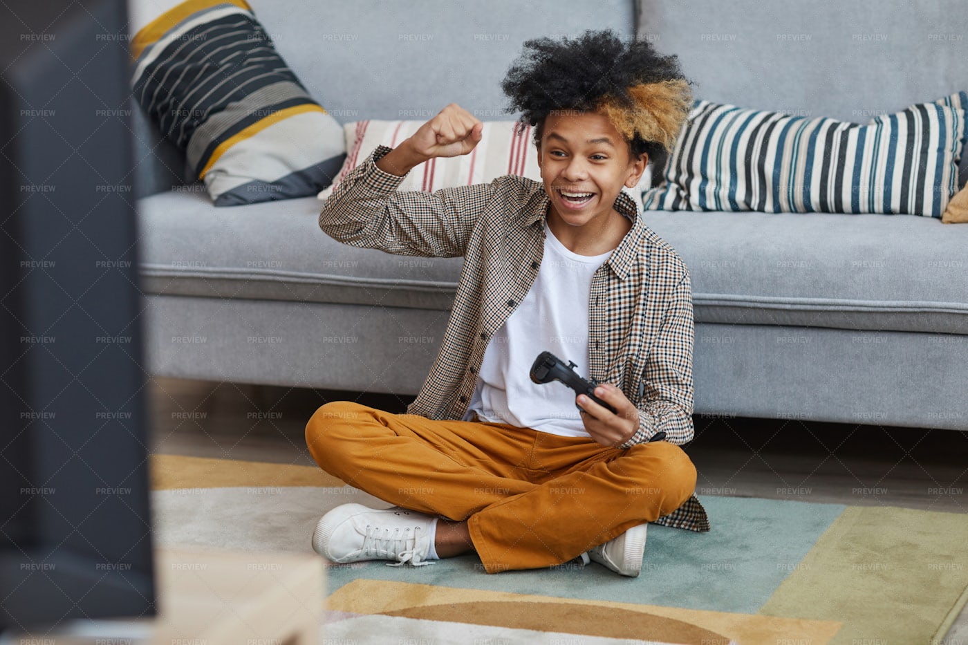 Excited Teenager Playing Videogames: Stock Photos