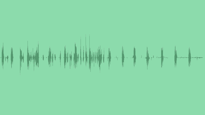 Photo Camera: Sound Effects
