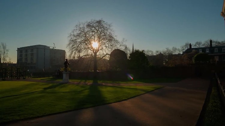 Kensington Palace and Gardens: Stock Video