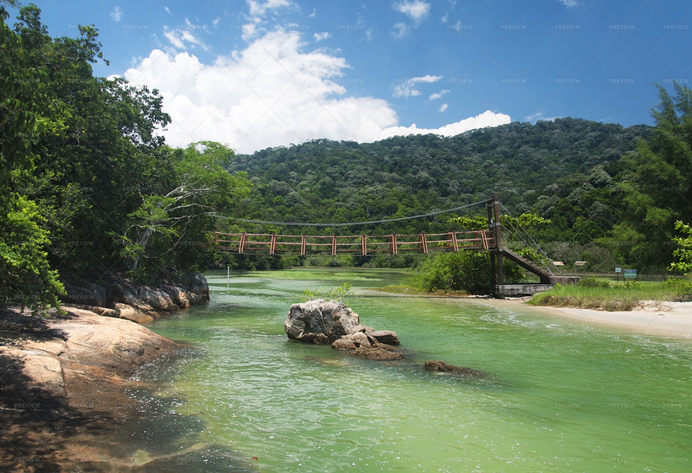 Penang National Park Bridge Malaysia - Stock Photos | Motion Array