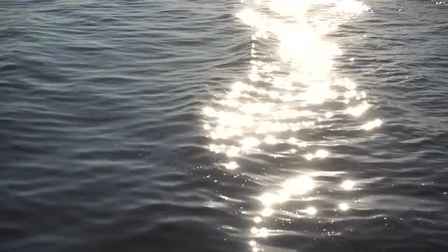 Sunlight Sparkling on Ocean Water: Stock Video