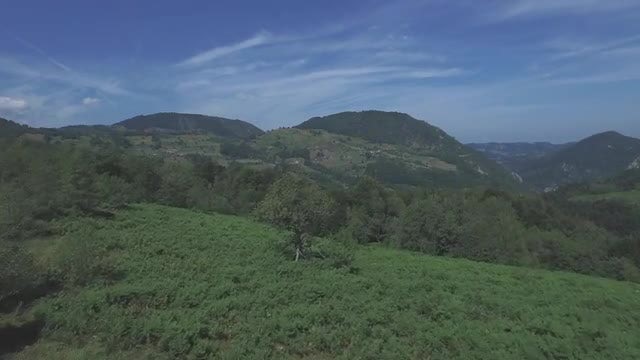 Aerial View Of Mountain Forest: Stock Video
