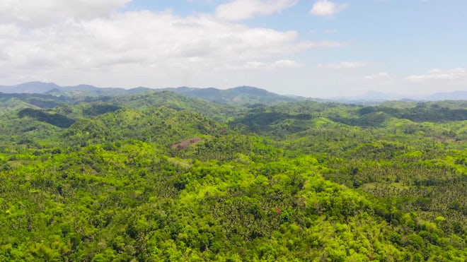 Borneo Jungle 4K - Amazing Tropical Rainforest In Asia