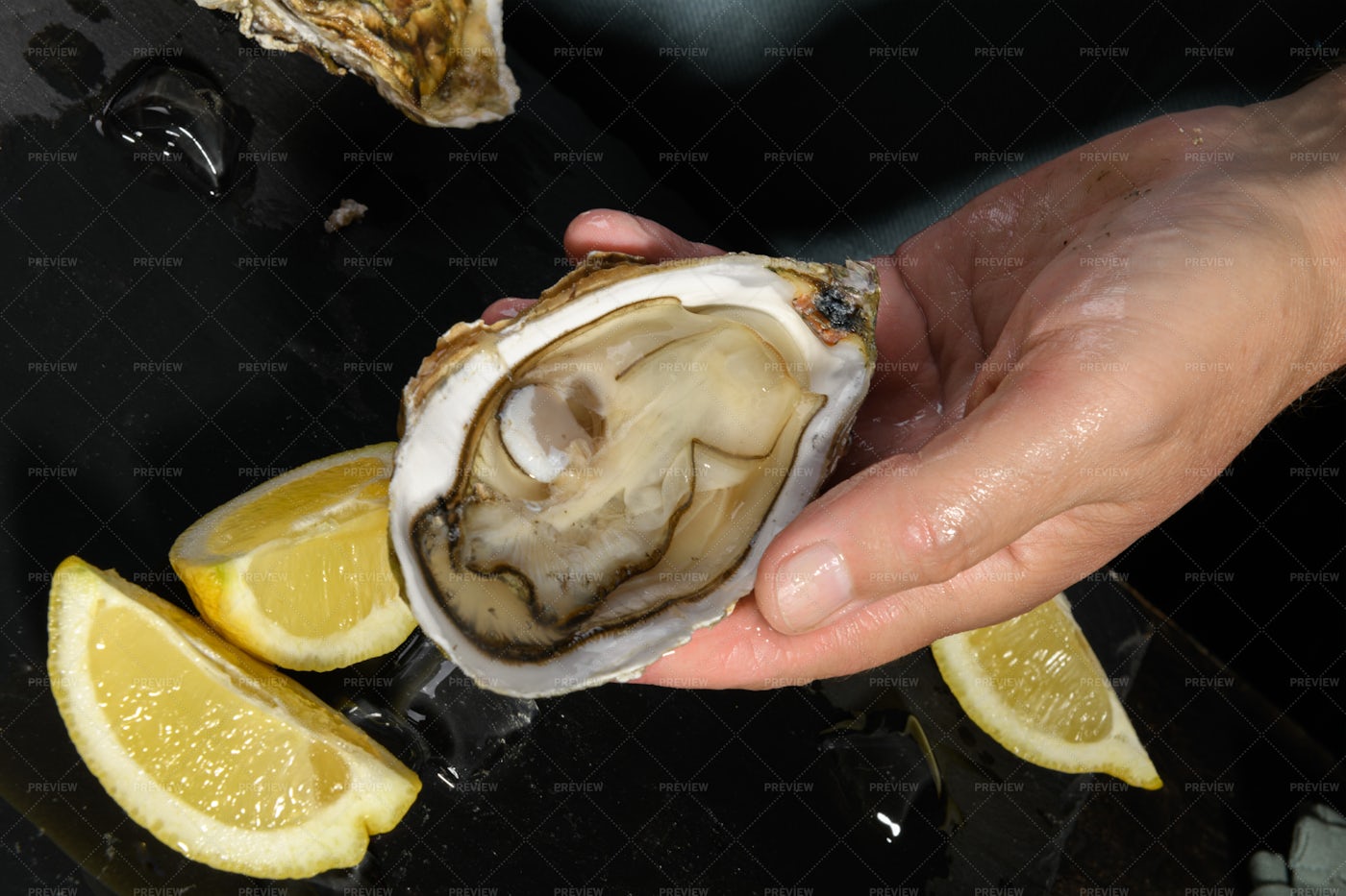 Opened Oyster: Stock Photos