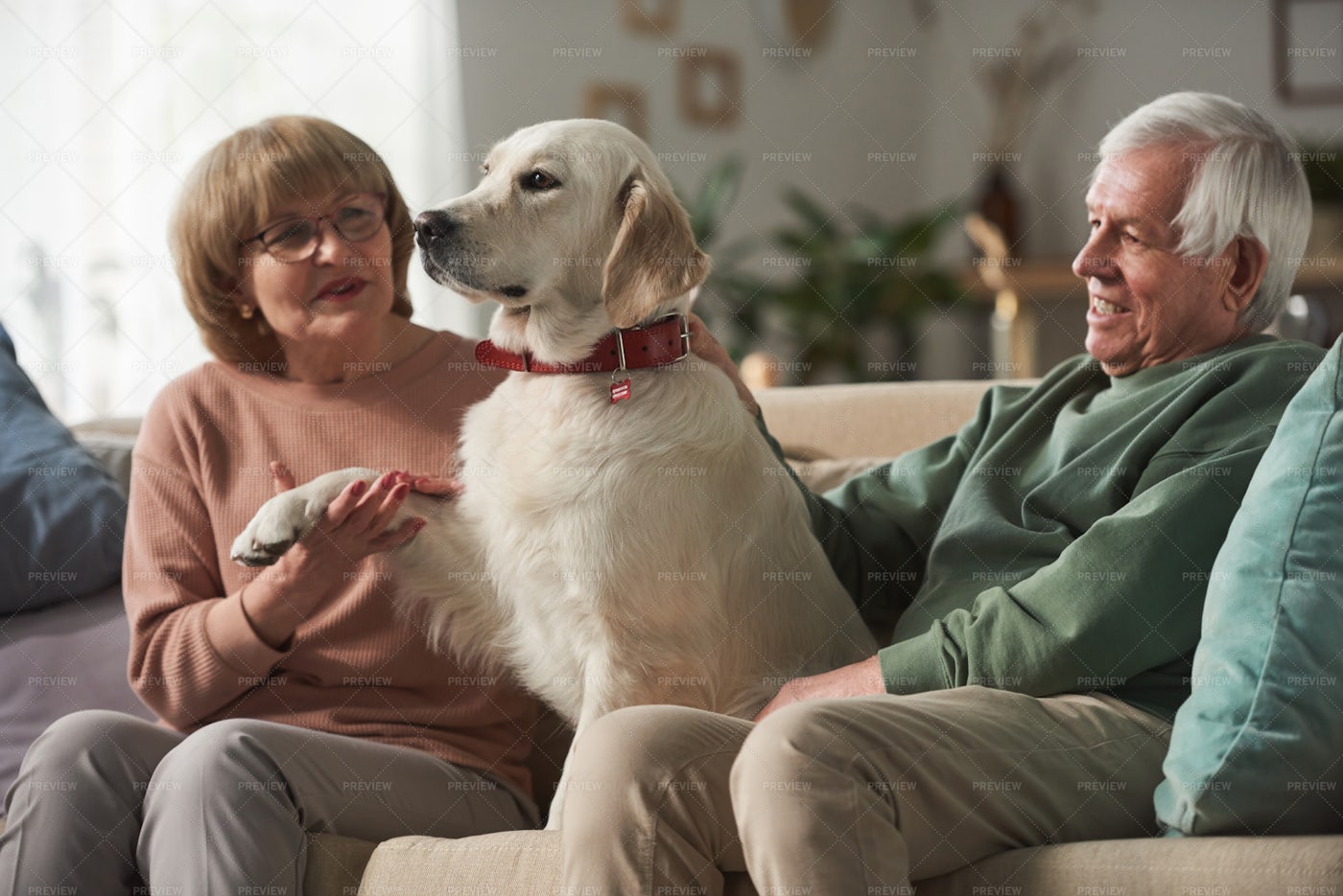 Senior Couple With Dog At Home: Stock Photos